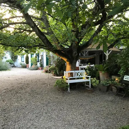 Ferien- Und Messewohnung In Meerbusch Exterior photo